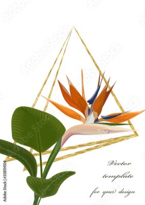 Papier peint  Wedding invitation with Strelitzia  flowers. Vector watercolor.  Vector illustration.