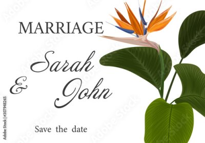 Papier peint  Wedding invitation with Strelitzia  flowers. Vector watercolor.  Vector illustration. 