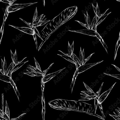 Papier peint  white , chalk seamless pattern with leaves and flowers strelitzia on black background . Concept for print, textile, cards, web design, wallpaper, wrapping design  