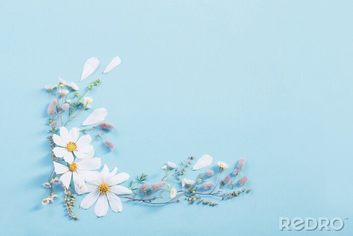 Papier peint  white flowers on paper background