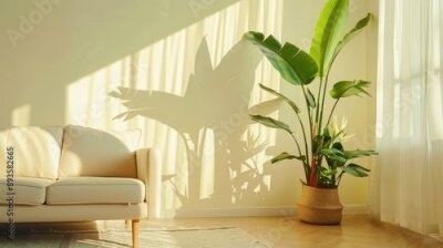 Papier peint  Wide shot of sunny living room with big tropical plant, giant white bird of paradise, strelitzia nicolai, blank space