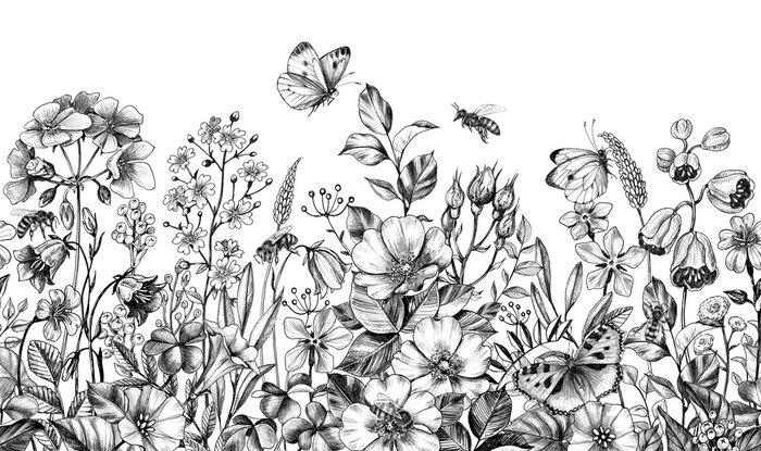 Papier peint  Wild Plants and Insects Seamless Border