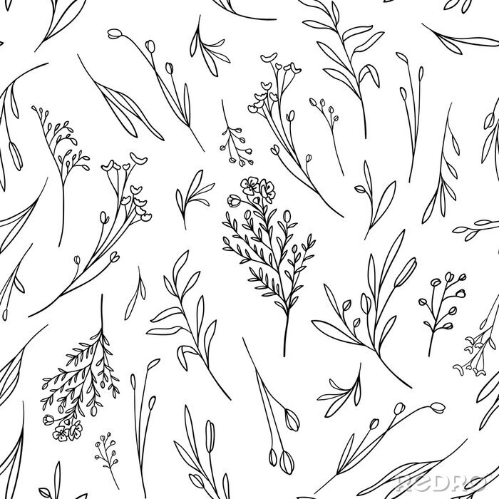 Papier peint  Wildflowers seamless pattern on white background. Botanical illustration