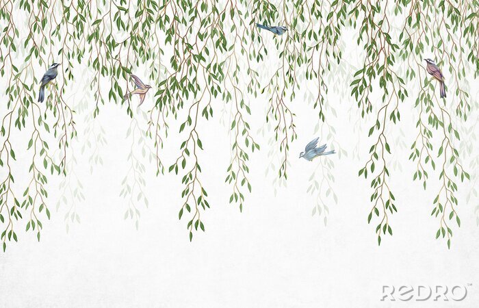 Papier peint  Willow branches hanging from above with birds . Wallpaper, murals and wall paintings for interior printing.