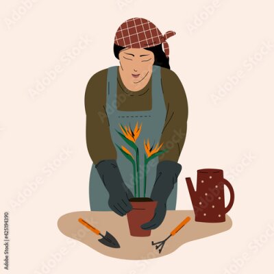 Papier peint  Woman wearing working robe, caring flowers in pots, planting strelitzia flowers, agriculture at home concept, stay home gardener hobby.