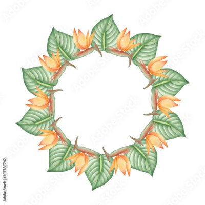Papier peint  Wreath of tropical flowers Strelitzia