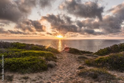 Papier peint  Coucher de soleil sur la plage pittoresque de Scivu - Dunes de sable avec une végétation de myrte avec l'océan à l'arrière-plan et des nuages ​​ensoleillés, Sardaigne, Italie