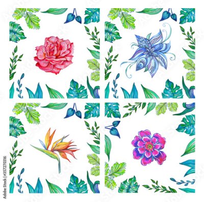 Papier peint  Drawn design set banner with summer leaves and flower anemone, rose, strelitzia. Card for summer season with leaves, herb. Сomposition with spring plants, leaves and decoration.
