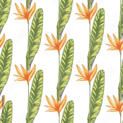 Papier peint  Tropic vintage background. Botanical vector illustration. Jungle flower botanical strelitzia pattern.