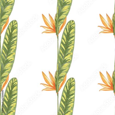 Papier peint  Tropic vintage background. Botanical vector illustration. Jungle flower botanical strelitzia pattern.