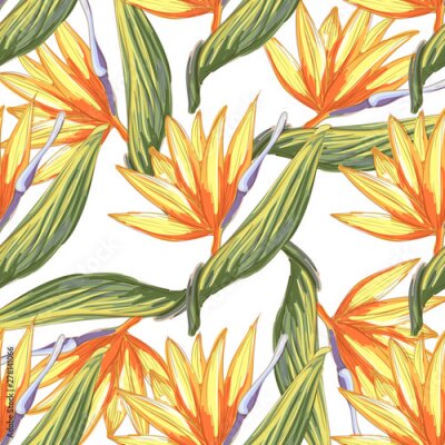 Papier peint  Tropic vintage background. Botanical vector illustration. Jungle flower botanical strelitzia pattern.