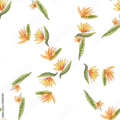 Papier peint  Tropic vintage background. Botanical vector illustration. Jungle flower botanical strelitzia pattern.