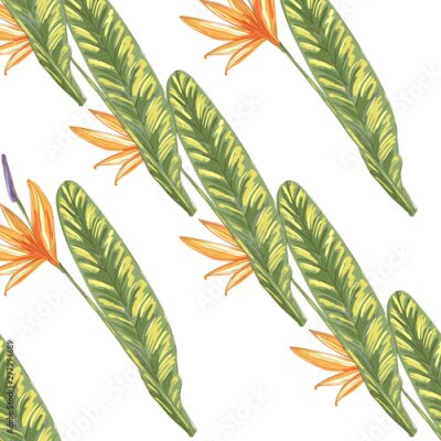 Papier peint  Tropic vintage background. Botanical vector illustration. Jungle flower botanical strelitzia pattern.