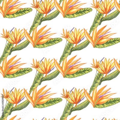 Papier peint  Tropic vintage background. Botanical vector illustration. Jungle flower botanical strelitzia pattern.