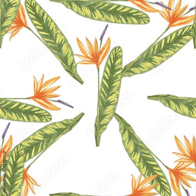 Papier peint  Tropic vintage background. Botanical vector illustration. Jungle flower botanical strelitzia pattern.