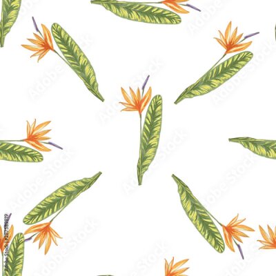 Papier peint  Tropic vintage background. Botanical vector illustration. Jungle flower botanical strelitzia pattern.