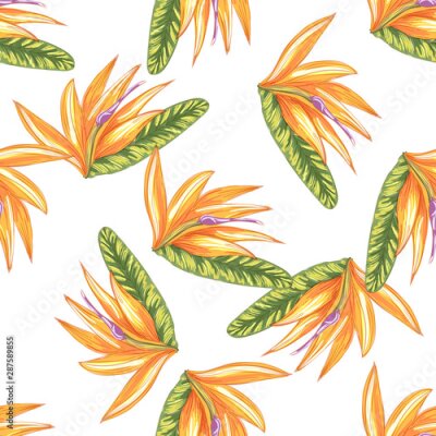 Papier peint  Tropic vintage background. Botanical vector illustration. Jungle flower botanical strelitzia pattern.