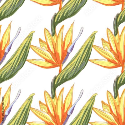 Papier peint  Tropic vintage background. Botanical vector illustration. Jungle flower botanical strelitzia pattern.