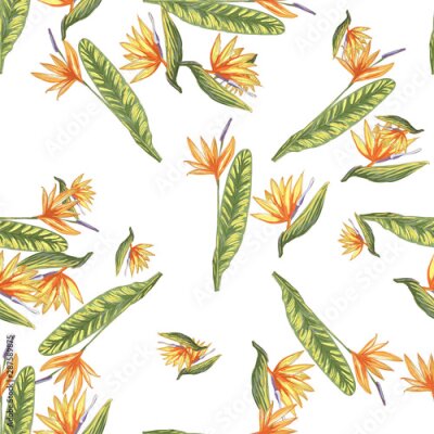 Papier peint  Tropic vintage background. Botanical vector illustration. Jungle flower botanical strelitzia pattern.