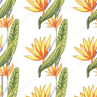 Papier peint  Tropic vintage background. Botanical vector illustration. Jungle flower botanical strelitzia pattern.