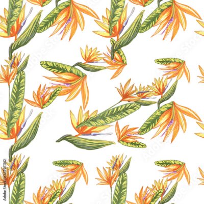 Papier peint  Tropic vintage background. Botanical vector illustration. Jungle flower botanical strelitzia pattern.