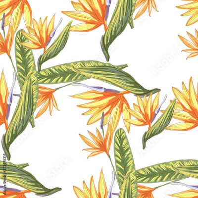 Papier peint  Tropic vintage background. Botanical vector illustration. Jungle flower botanical strelitzia pattern.