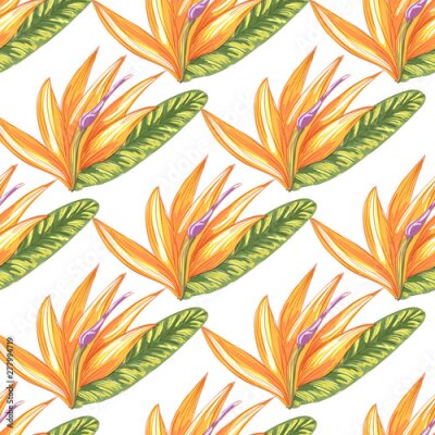 Papier peint  Tropic vintage background. Botanical vector illustration. Jungle flower botanical strelitzia pattern.