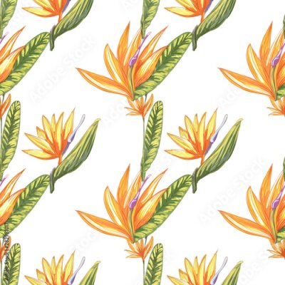 Papier peint  Tropic vintage background. Botanical vector illustration. Jungle flower botanical strelitzia pattern.