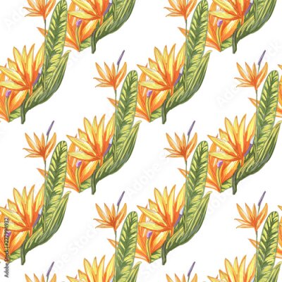 Papier peint  Tropic vintage background. Botanical vector illustration. Jungle flower botanical strelitzia pattern.