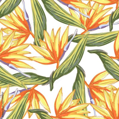 Papier peint  Tropic vintage background. Botanical vector illustration. Jungle flower botanical strelitzia pattern.