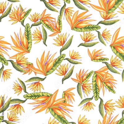 Papier peint  Tropic vintage background. Botanical vector illustration. Jungle flower botanical strelitzia pattern.