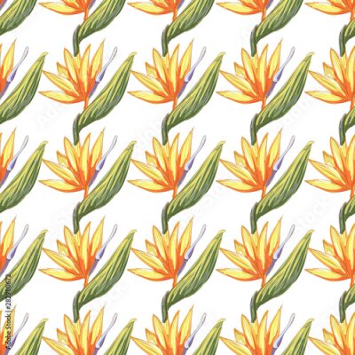Papier peint  Tropic vintage background. Botanical vector illustration. Jungle flower botanical strelitzia pattern.
