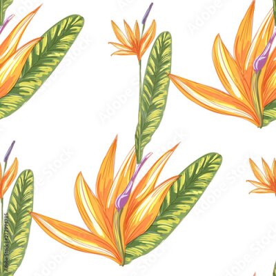 Papier peint  Tropic vintage background. Botanical vector illustration. Jungle flower botanical strelitzia pattern.