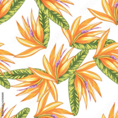 Papier peint  Tropic vintage background. Botanical vector illustration. Jungle flower botanical strelitzia pattern.