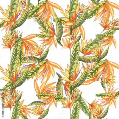 Papier peint  Tropic vintage background. Botanical vector illustration. Jungle flower botanical strelitzia pattern.