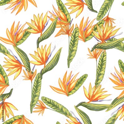 Papier peint  Tropic vintage background. Botanical vector illustration. Jungle flower botanical strelitzia pattern.