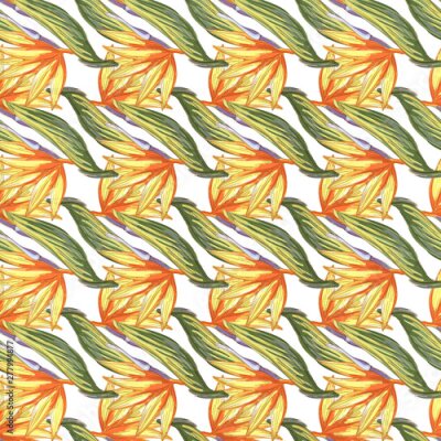 Papier peint  Tropic vintage background. Botanical vector illustration. Jungle flower botanical strelitzia pattern.