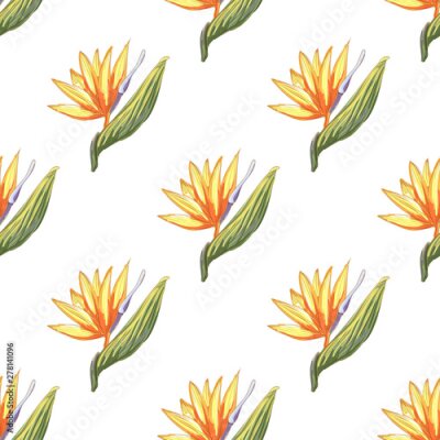 Papier peint  Tropic vintage background. Botanical vector illustration. Jungle flower botanical strelitzia pattern.