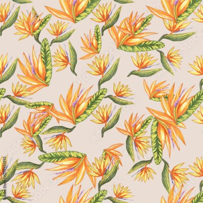 Papier peint  Tropic vintage background. Botanical vector illustration. Jungle flower botanical strelitzia pattern.