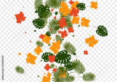 Papier peint  Yellow Flower Background Transparent Vector. Flora Print Frame. Pink Strelitzia. Vacation Illustration. Light Green Drawing Texture.