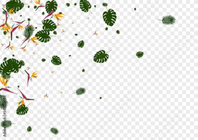 Papier peint  Yellow Leaf Background Transparent Vector. Strelitzia Retro Pattern. Pink Flora. Modern Design. Orange Bright Texture.