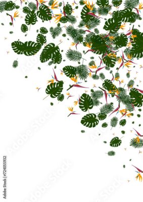 Papier peint  Yellow Strelitzia Background White Vector. Philodendron Miami Texture. Red Leaf. Style Design. Light Green Print Illustration.