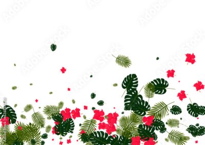 Papier peint  Yellow Strelitzia Background White Vector. Plant Modern Frame. Pink Monstera. Rainforest Design. Orange Drawing Backdrop.