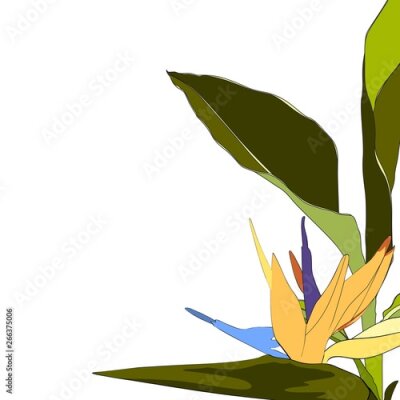 Papier peint  Yellow tropical exotic strelitzia flowers and leaves bouquet elegant card. A spring decorations. Small floral garland.