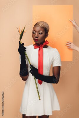 Papier peint  young african american woman in black gloves posing with Strelitzia flower on beige and orange
