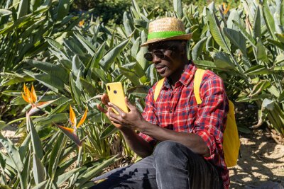Papier peint  Young African taking a photo of a Strelitzia in a botanical garden.