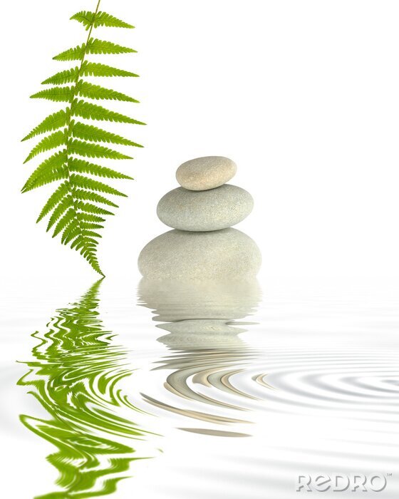 Papier peint  Zen Elements