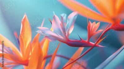 Papier peint  Zen Harmony: Amidst the garden's tranquility, the Strelitzia offers a zen harmony, inviting peace and balance into the surroundings.