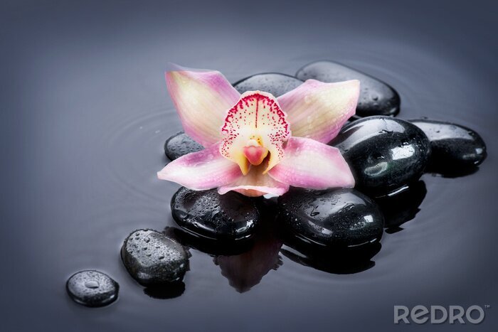 Papier peint  Zen Spa pierres