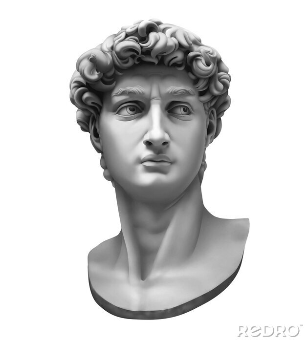 Poster  3D rendering of Michelangelo's David bust isolated on white.